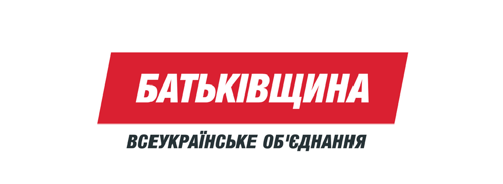 «Батьківщинівці» Львівщини організували спецпроект до 20-річчя Конституції України