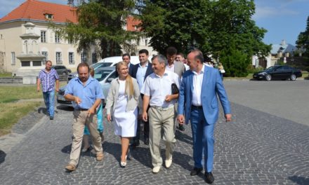 ЮЛІЯ ТИМОШЕНКО ВІДВІДАЛА МІСТО ЖОВКВУ (ФОТО)