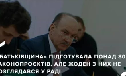 Михайло Цимбалюк: «Батьківщина» підготувала понад 80 законопроєктів, але жоден з них не розглядався у Раді