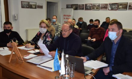 «Батьківщина» Львівщини вимагає проведення референдуму щодо продажу землі